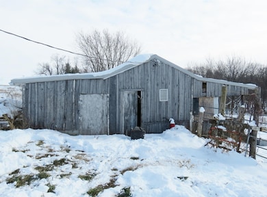 7336 Caves Rd, Maquoketa, IA 52060 - photo 4