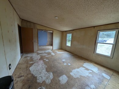 7231 Old Cox Pike, Fairview, TN 37062 - photo 6