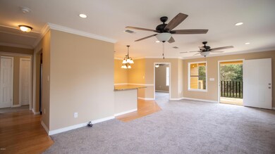 419 Wittman-103
