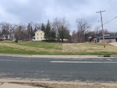 4XX Spring St, Hastings, MN 55033 - photo 6