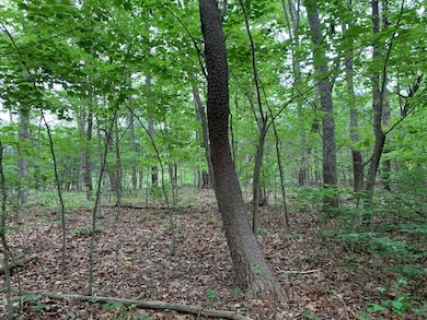 000 Stewart Ln, Rising Fawn, GA 30738 - photo 4