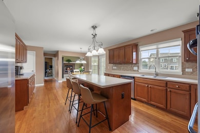 13521 Arborview Cir, Plainfield, IL 60585 - photo 7