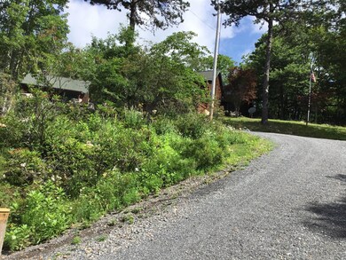 2010 High Valley Dr N, Franklin, WV 26807 - photo 3