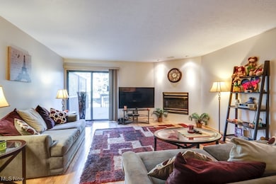 842 Arboretum Cir, Northfield, OH 44067 - photo 5