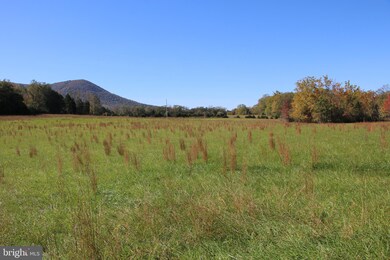 0 Sadlick Lot O Rd, Strasburg, VA 22657 - photo 4