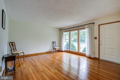 4010 Elizabeth St, Rockville, MD 20853 - photo 5