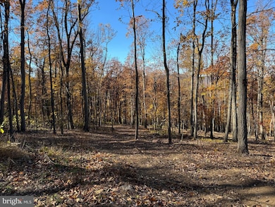0 Digging Bear Ln unit VALO2111584, Purcellville, VA 20132 - photo 4