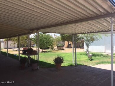 Mature Yard