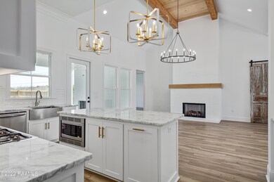 311 Canary Palm -5