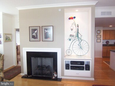 4490 Market Commons Dr unit 704, Fairfax, VA 22033 - photo 2