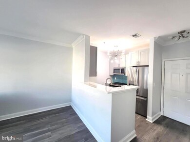 4850 Eisenhower Ave unit 418, Alexandria, VA 22304 - photo 3