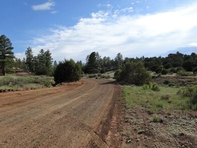 Hog Wash Rd.