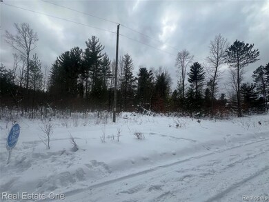 V/L 1 Mile Rd, Ellsworth Township, MI 49655 - photo 4