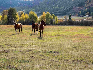 320871 U S Highway 2, Newport, WA 99156 - photo 5