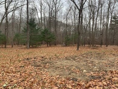 2 Bird Ln, Sharon, MA 02067 - photo 2