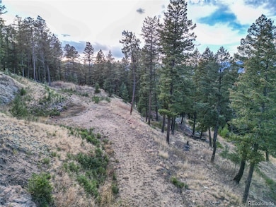 26779 Fern Gulch Rd, Evergreen, CO 80439 - photo 7