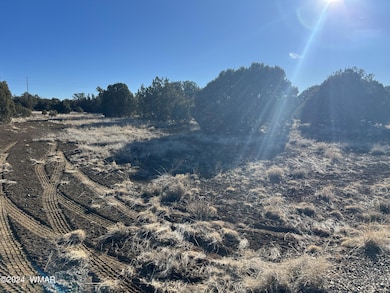 2036 Sitgreaves Ranch Rd, Show Low, AZ 85901 - photo 6