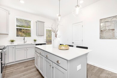 2462 Andes Dr unit 145, Statesville, NC 28625 - photo 5