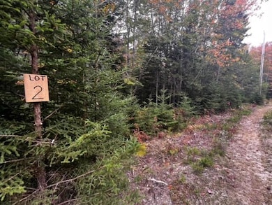 George's Woods Lot #2