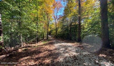 River View Fall166