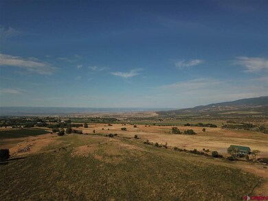 22690 Sweet Clover Rd, Cedaredge, CO 81413 - photo 3