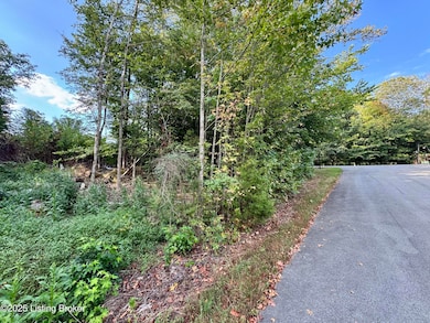 45 Clear Creek Dr, Boston, KY 40107 - photo 3