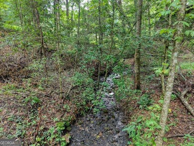 2479 Plum Orchard Rd, Clayton, GA 30525 - photo 4