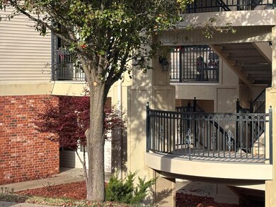 3830 Green Mountain Dr, Branson, MO 65616 - photo 3