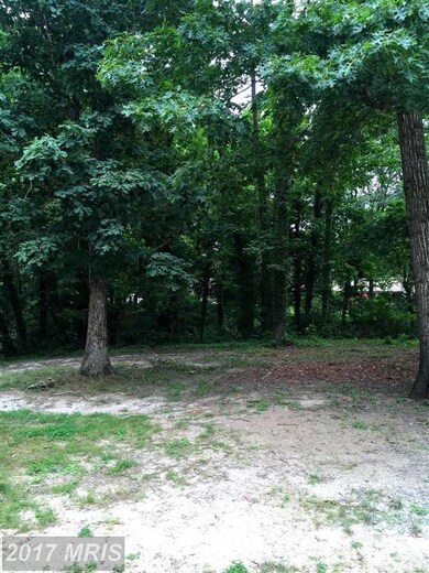 704 Barkley Dr, Fredericksburg, VA 22407 - photo 6