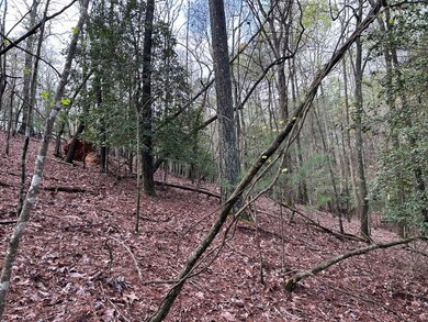 LT2756 Medina Ct, Ellijay, GA 30540 - photo 3