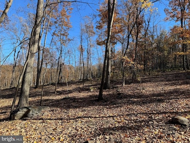 0 Digging Bear Ln unit VALO2111586, Purcellville, VA 20132 - photo 3