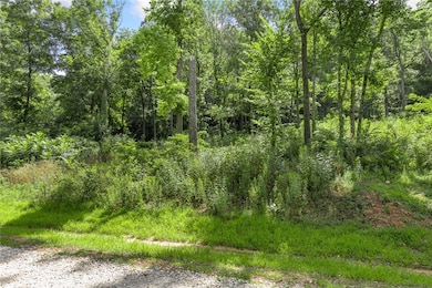 Lot 4 Significance Summit, Harrison, AR 72601 - photo 3