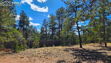 178 Gerka Ln, Florissant, CO 80816 - photo 3