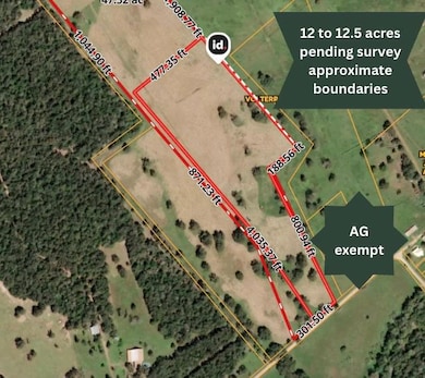 2901-C Mule Creek Rd, Harwood, TX 78632 - photo 5