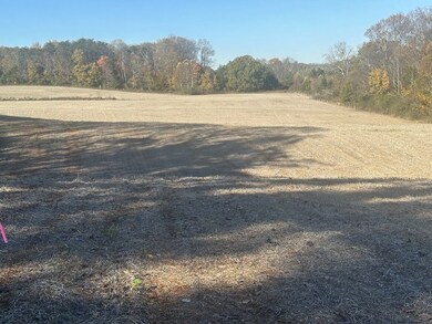 0 Old Kentucky Rd, Sparta, TN 38583 - photo 7