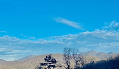 42 Nowhere Dr, Sylva, NC 28779 - photo 3