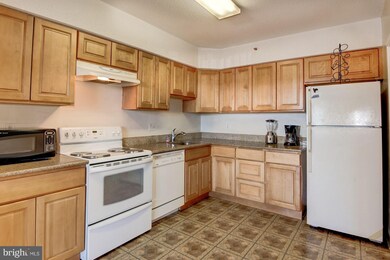Skyline House unit 615, Baileys Crossroads, VA 22041 - photo 3