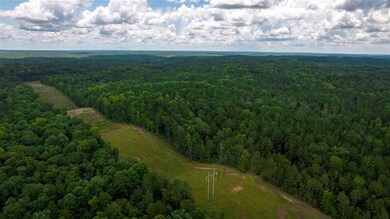 1708 Round Oak Juliette Rd, Juliette, GA 31046 - photo 5