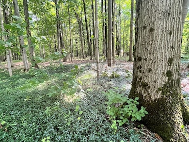 503 Centerville Rd, Pulaski, NY 13142 - photo 7