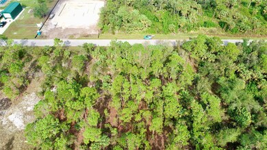 26377 Deer Rd, Punta Gorda, FL 33955 - photo 3