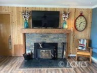 Fireplace insert