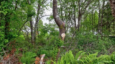 1020 SW 17th St, Lincoln City, OR 97367 - photo 3