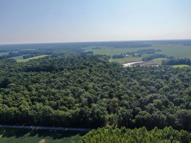 8100 S County Rd 800 W, Commiskey, IN 47227 - photo 5