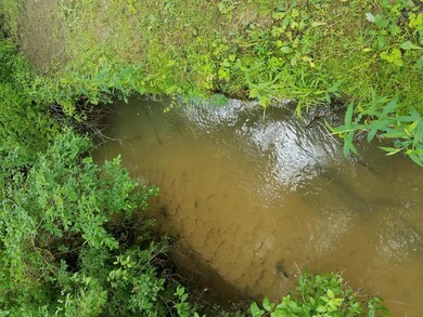 Creek 1