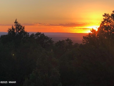 Lot 20 Mountain Pine Rd, Vernon, AZ 85940 - photo 4