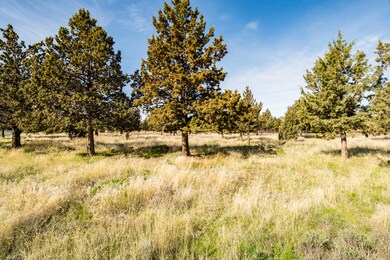 0 SW Peninsula Dr unit Lot 173 220199686, Terrebonne, OR 97760 - photo 7