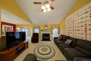 382 Running Briar Rd, Fletcher, NC 28732 - photo 6