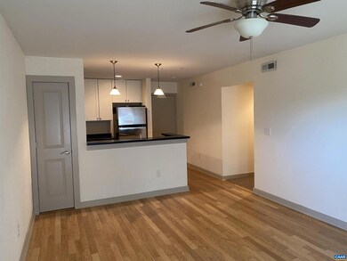 1521 Virginia Ave unit 1, Charlottesville, VA 22903 - photo 6