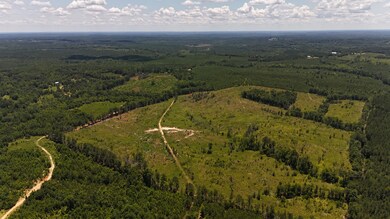 DJI_20250620132215_0084_D