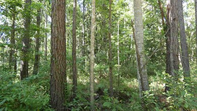 0 Eastwood unit 318611, Monticello, FL 32344 - photo 2